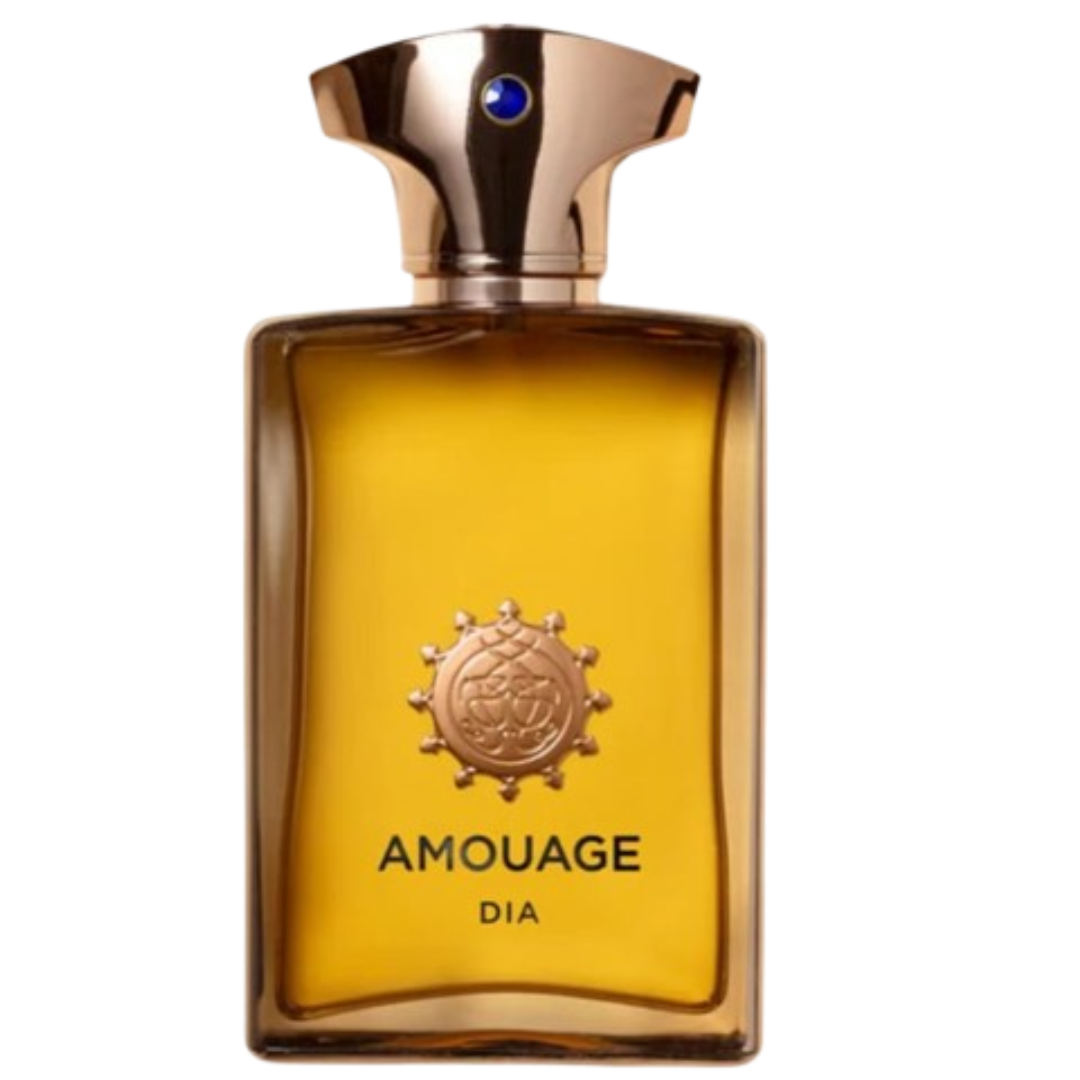 Amouage Dia Man for men 100ML