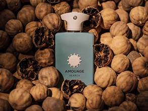 Amouage Search for women and men