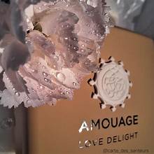 Amouage Love Delight for women